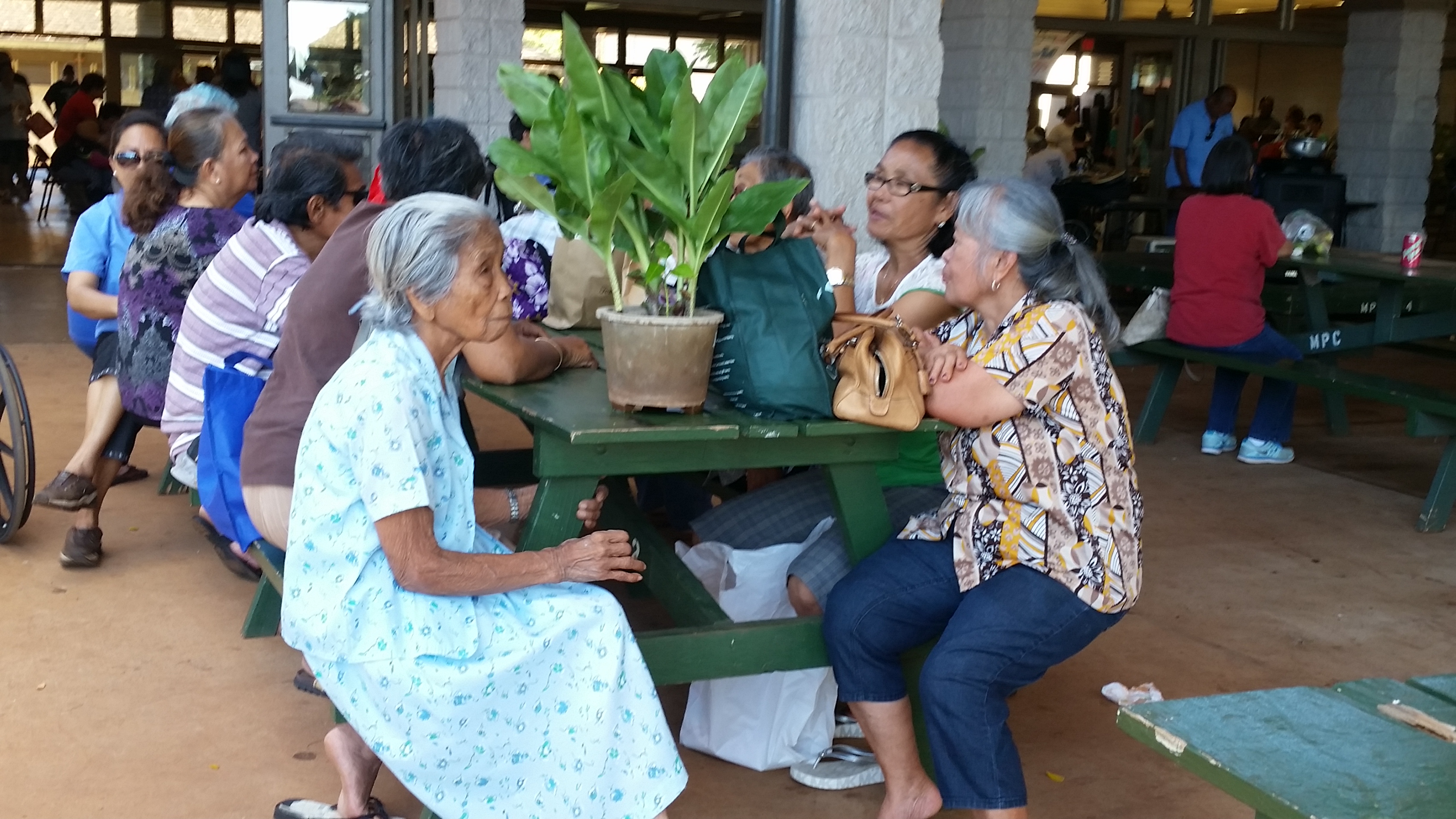 Country Fair Saint Damien of Molokai Church & Parish